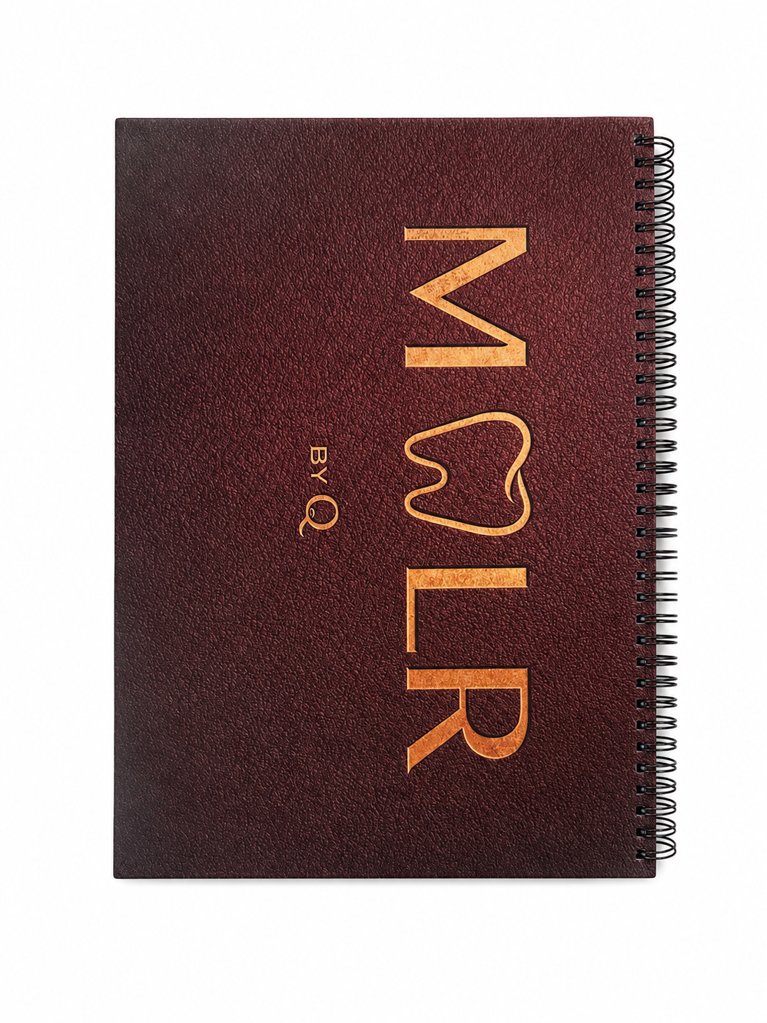 MOLR - The Collection